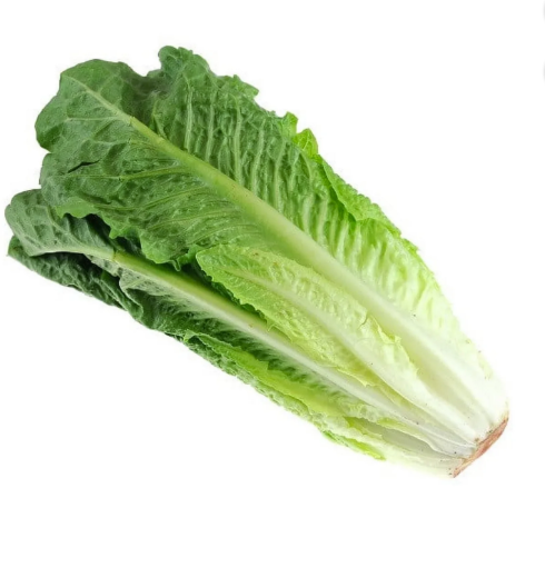 Vegetables