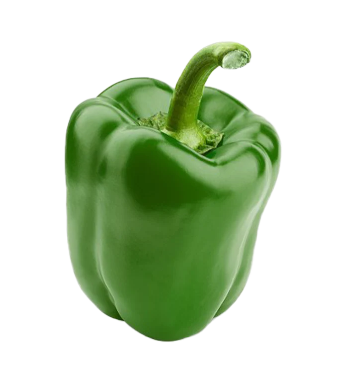 Extra Large Crisp Bell Pepper