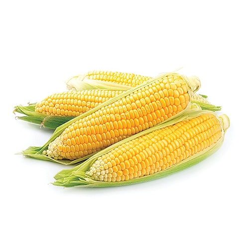 Fresh Corn 4ct.