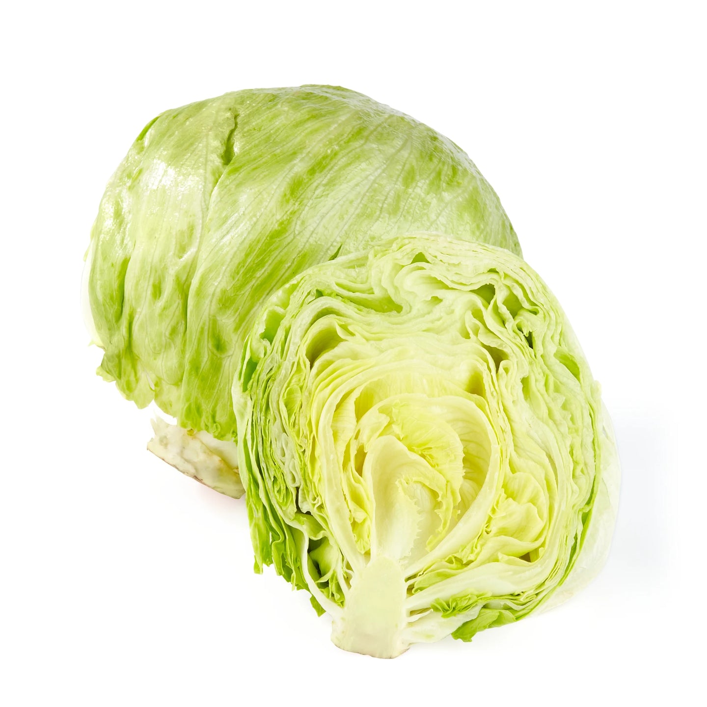 Iceberg Lettuce