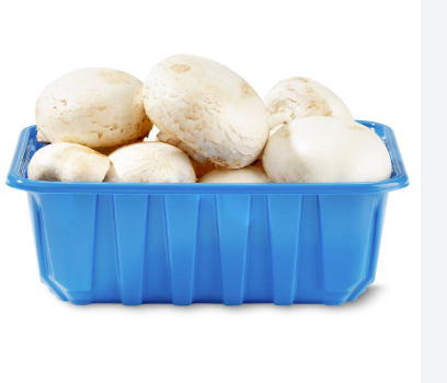 Fresh White and Brown Mushrooms