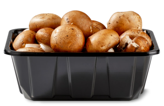 Fresh White and Brown Mushrooms