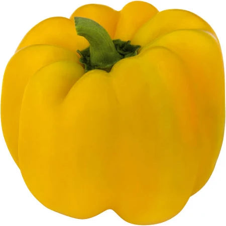 Large Sunflower Pepper