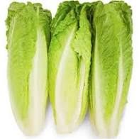 Fresh Romaine Lettuce Hearts